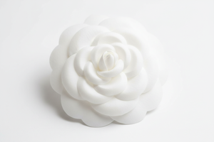 山茶花萃取